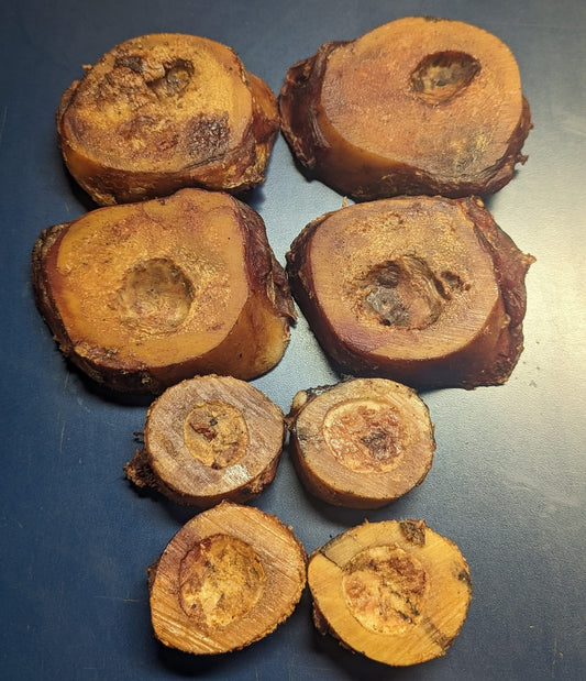 X-Sm Marrow (Marrow Disc)