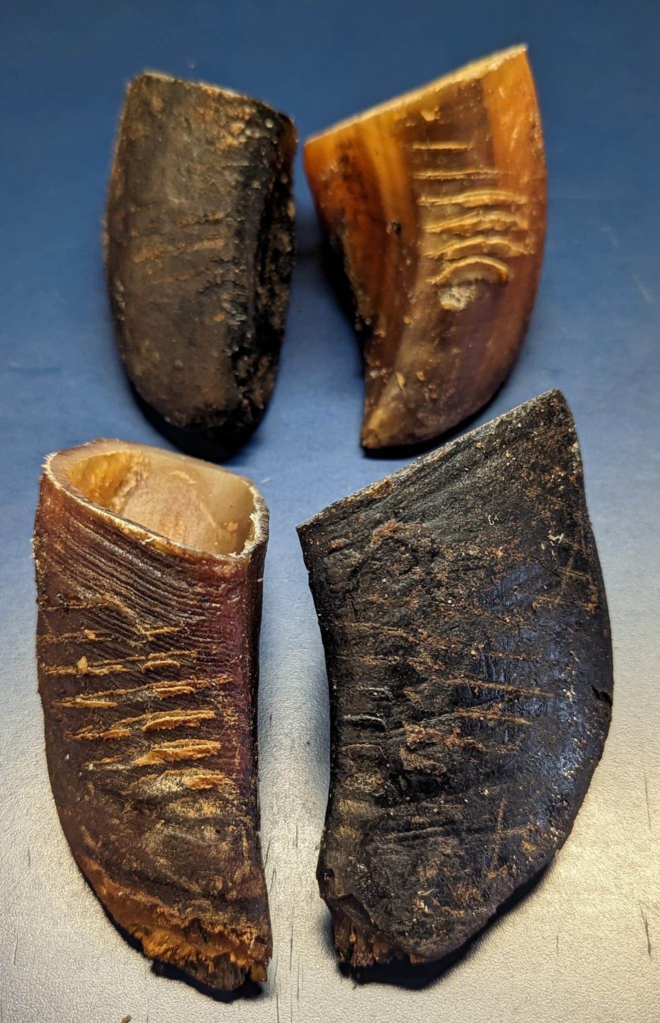 Hooves